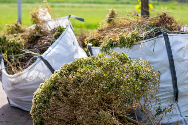 Best Yard Cleanup Services  in Laguna Park, TX