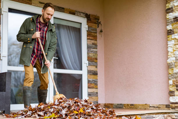 Professional Junk Removal in Laguna Park, TX